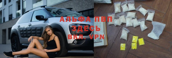 спиды Алзамай
