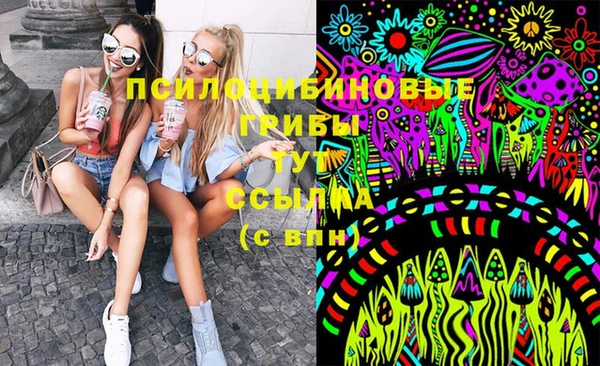 спиды Алзамай