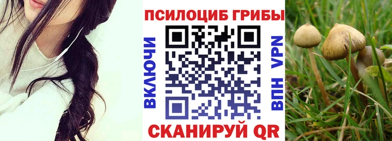 Псилоцибиновые грибы Cubensis  Саки 