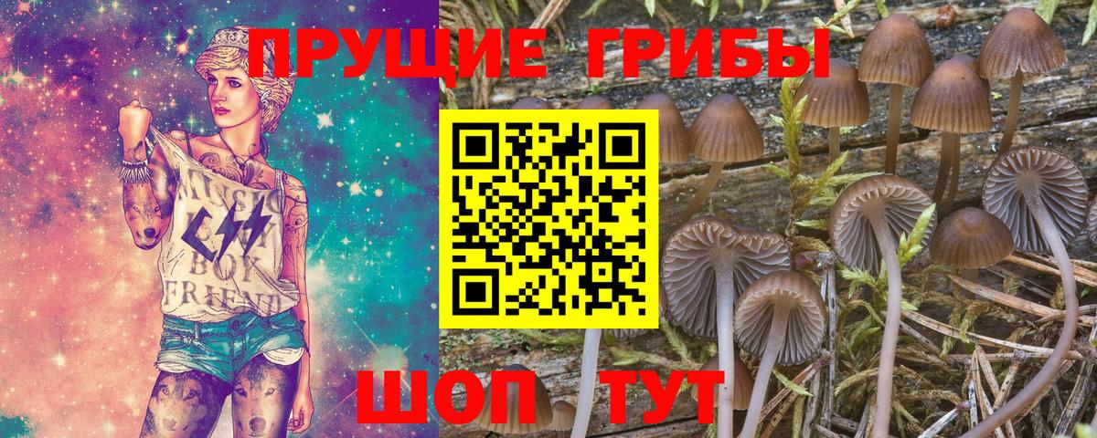 Псилоцибиновые грибы GOLDEN TEACHER Саки