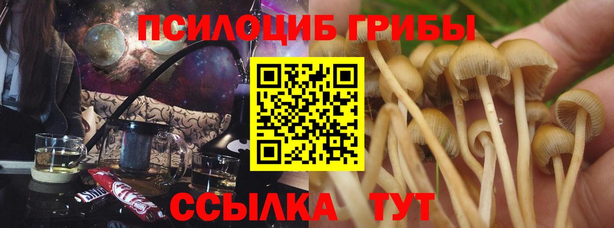 Саки  Галлюциногенные грибы MAGIC MUSHROOMS  Вход с VPN 